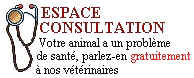 Entrer dans l'espace consultation